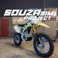  SouzaSim Project ( )  