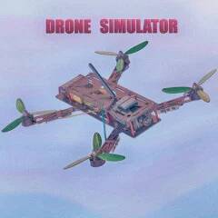  Drone acro simulator ( )  