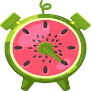  Tool xocdia Watermelon Timer ( )  