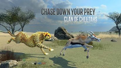 Взломанная игра Clan of Cheetahs (Взлом на монеты) на Андроид