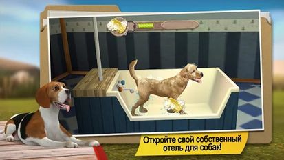 Взломанная игра DogHotel: питомник для собак (Взлом на монеты) на Андроид