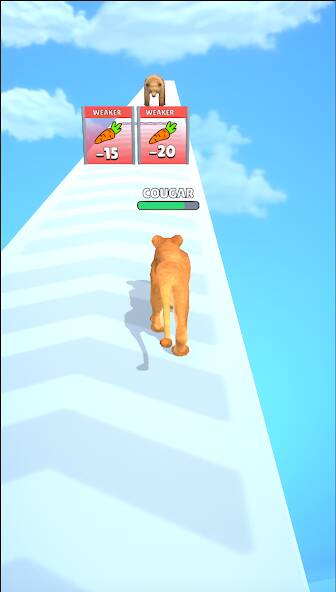 Скачать Cat Evolution (Много денег) на Андроид