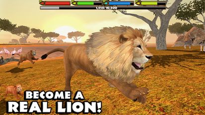 Взломанная игра Ultimate Lion Simulator (Мод все открыто) на Андроид