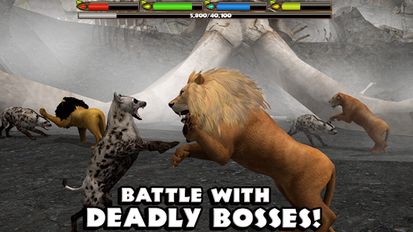 Взломанная игра Ultimate Lion Simulator (Мод все открыто) на Андроид