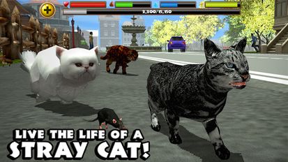 Взломанная Stray Cat Simulator (Мод все открыто) на Андроид