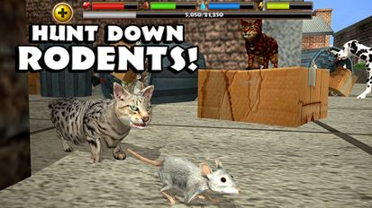 Взломанная Stray Cat Simulator (Мод все открыто) на Андроид