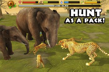 Скачать взломанную Cheetah Simulator (Взлом на монеты) на Андроид