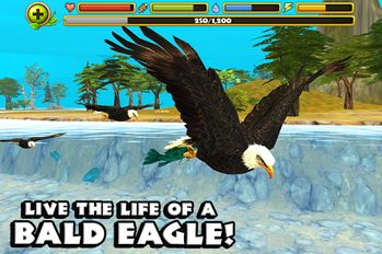 Скачать взломанную Eagle Simulator™ (Взлом на монеты) на Андроид
