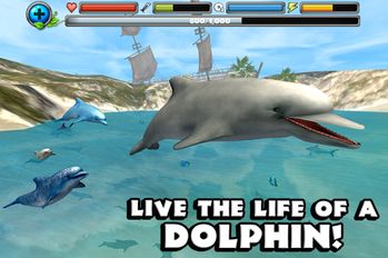 Скачать взломанную Dolphin Simulator (Мод все открыто) на Андроид