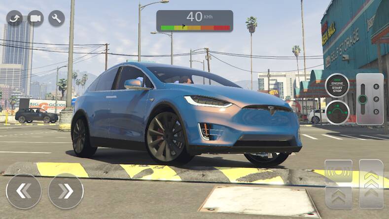  Tesla Model X Master Driver ( )  
