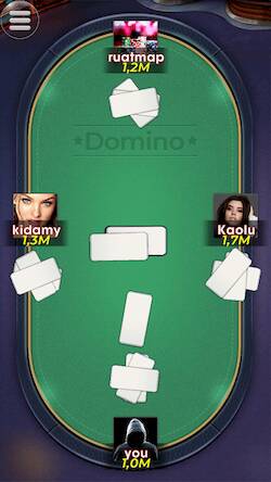  Domino ( )  
