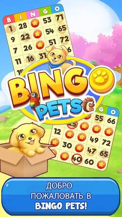  Bingo: Free the Pets ( )  