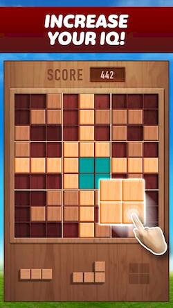  Woody 99 - Sudoku Block Puzzle ( )  
