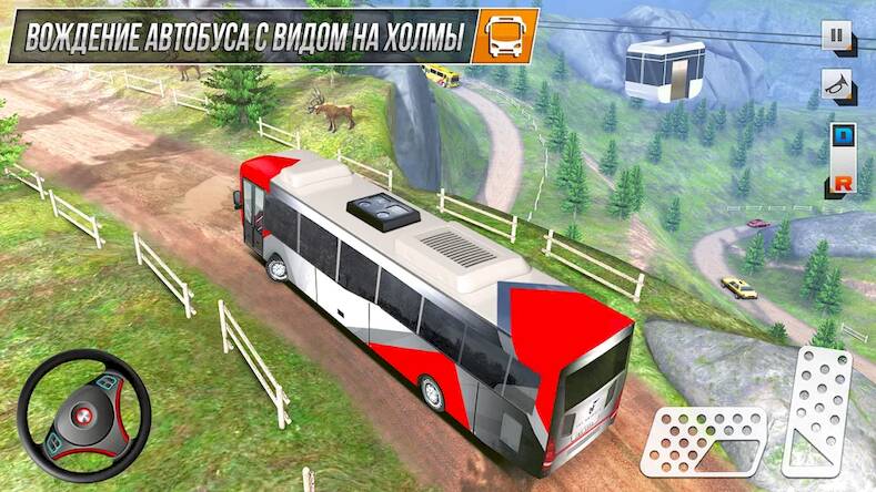    3d: Bus  ( )  