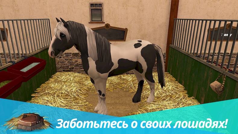  Horse World -   ( )  