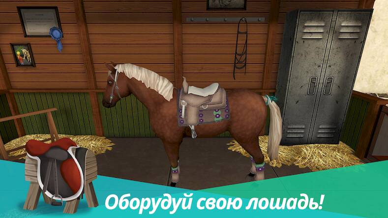  Horse World -   ( )  