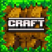  Craft Build Block ( )  