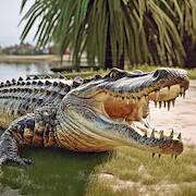 Охота крокодил игра