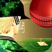Скачать Cricket Fly - Sports Game (Много денег) на Андроид
