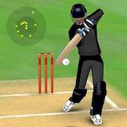  Smashing Cricket: cricket game ( )  