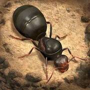 Скачать The Ants: Underground Kingdom (Много монет) на Андроид