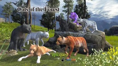   Cats of the Forest (  )  