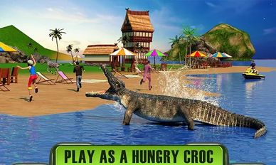  Crocodile Attack 2016 (  )  