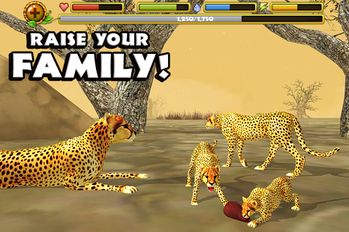   Cheetah Simulator (  )  