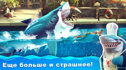   Hungry Shark World (  )  