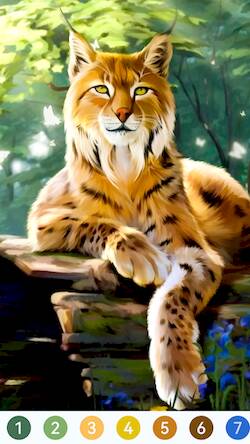  Animal Paint by Number Game ( )  