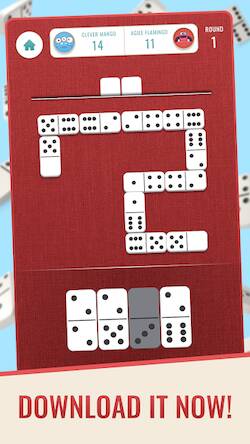  Domino: Classic Dominoes Game ( )  
