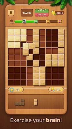  Wood Block -Sudoku Puzzle Game ( )  
