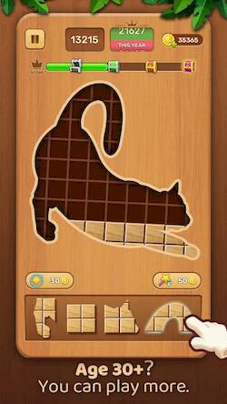  Wood Block -Sudoku Puzzle Game ( )  