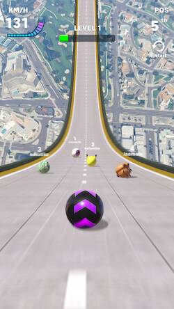  Racing Ball Master 3D ( )  