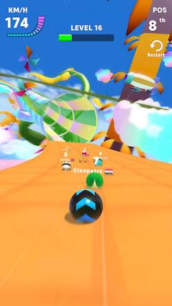  Racing Ball Master 3D ( )  