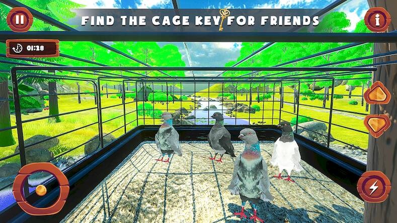  Flying Bird pigeon Games ( )  