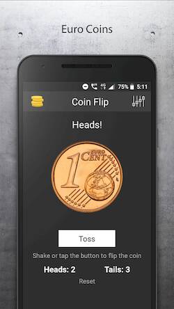  Coin Flip ( )  