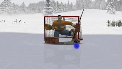   Virtual Goaltender (  )  