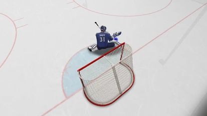   Virtual Goaltender (  )  
