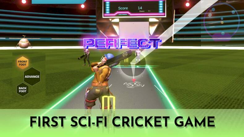  Cricket Fly - Sports Game ( )  