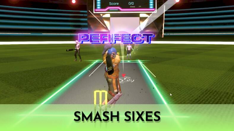 Cricket Fly - Sports Game ( )  